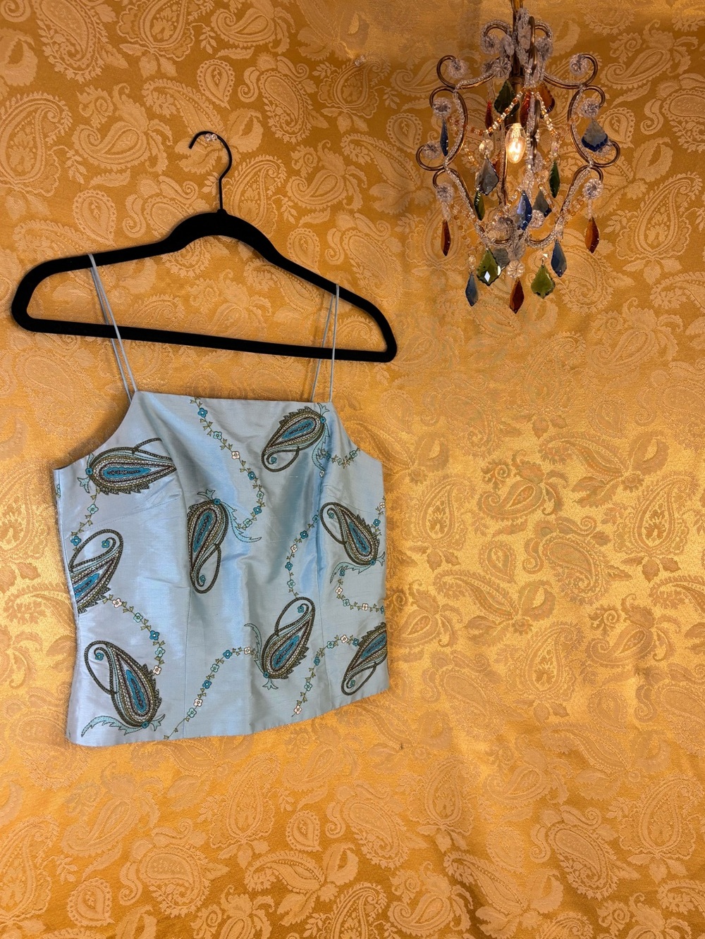 ✨Vintage Y2K Boho Silk Paisley Embroidered Corset Top✨